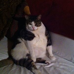 Meet your Posher, Jodi